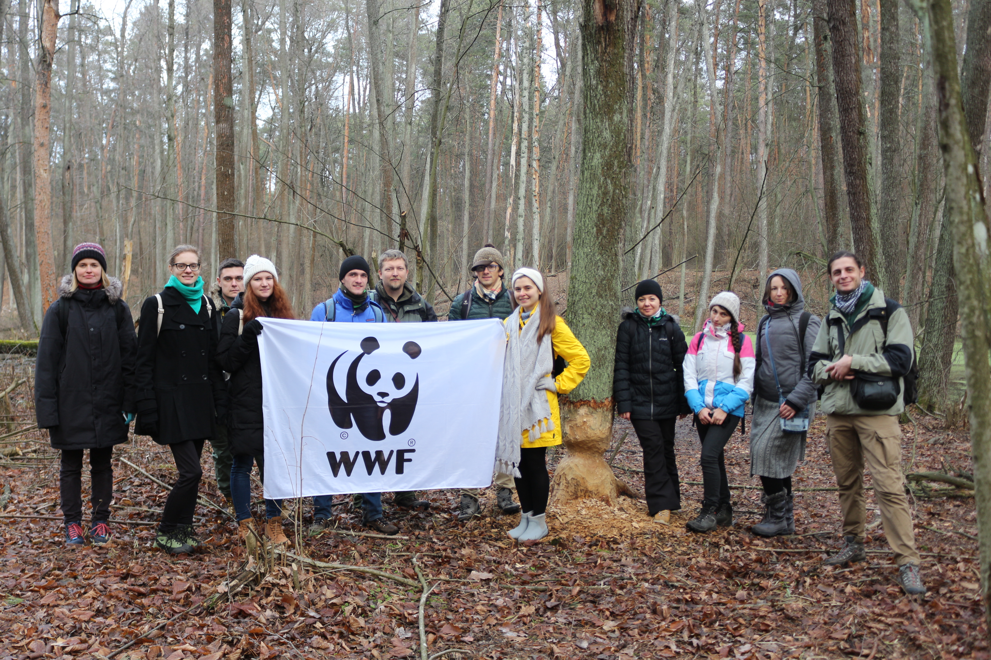 WWF forest excursions